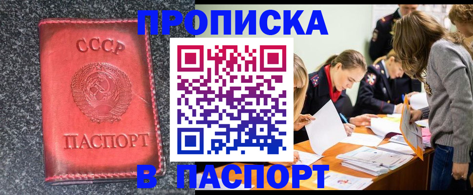 прописка для школы в Плавске